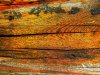 111682_0[1]